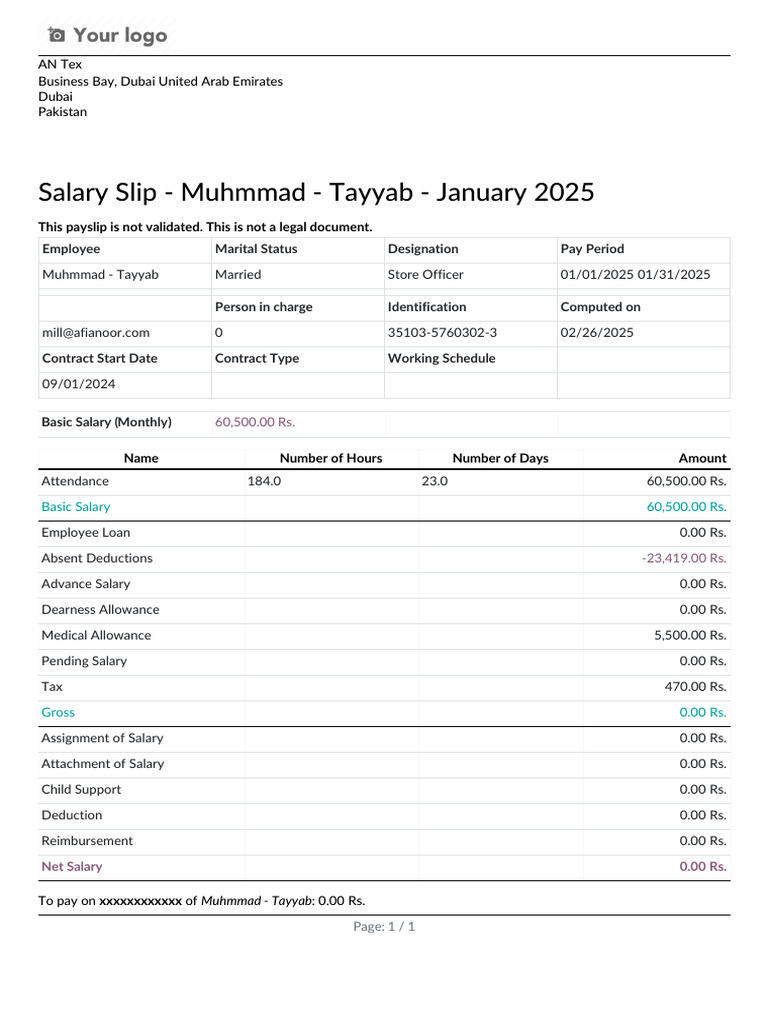 Payslip - Salary Slip - Muhmmad - Tayyab - January 2025 | PDF ...