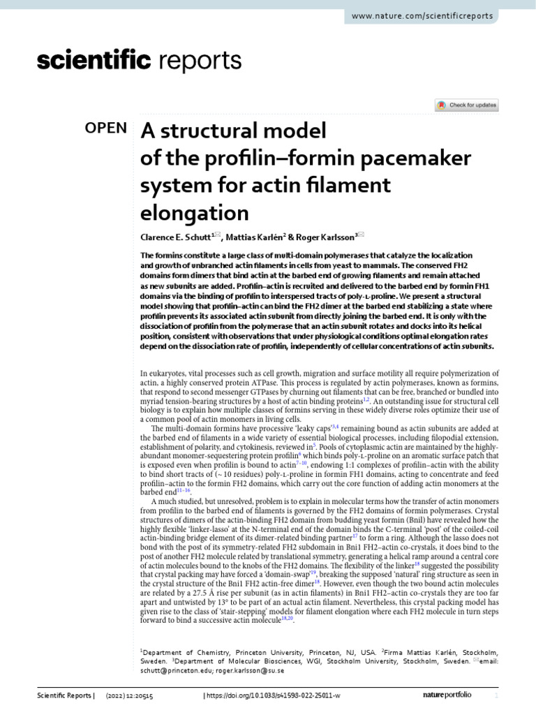 A Structural Model of The Profilin-Formin Pacemaker System For Actin ...