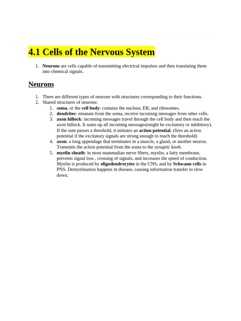 Nervous System Cell Types and Functions | PDF | Chemical Synapse ...