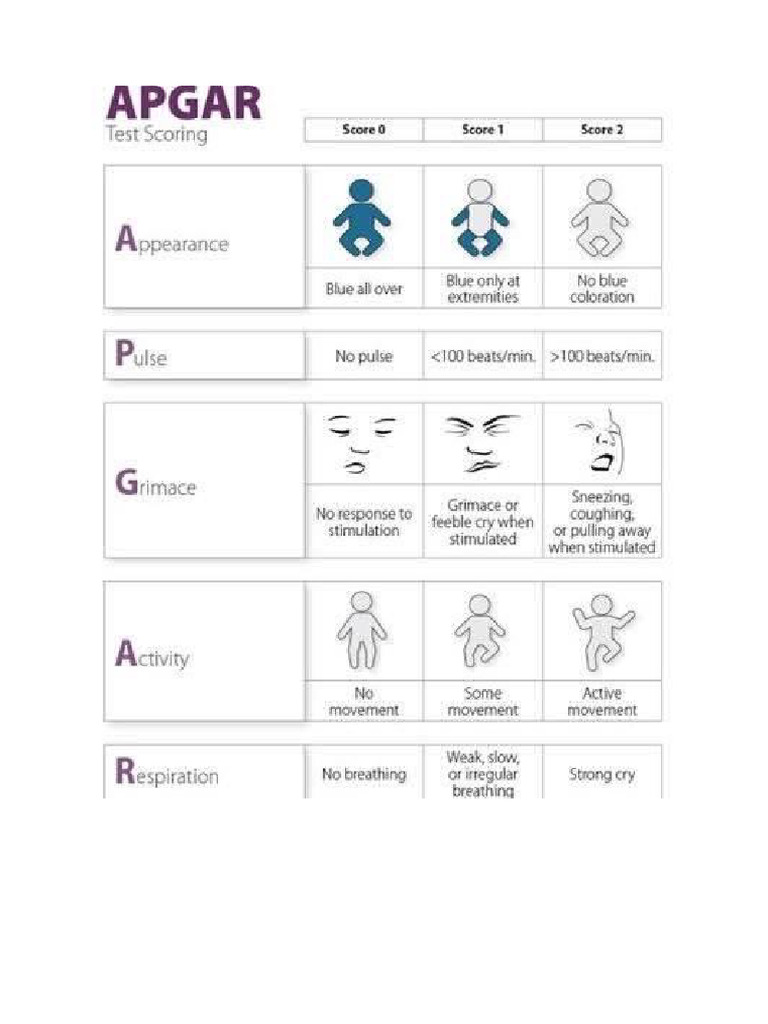 Apgar | PDF