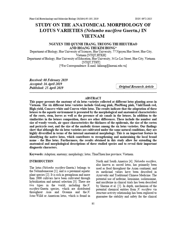 Anatomical Study of Lotus Varieties in Vietnam | PDF | Plants | Botany