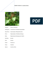 Download POHON CENDANA by War Juni SN89505479 doc pdf