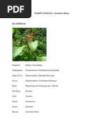 Download POHON CENDANA by War Juni SN89505479 doc pdf