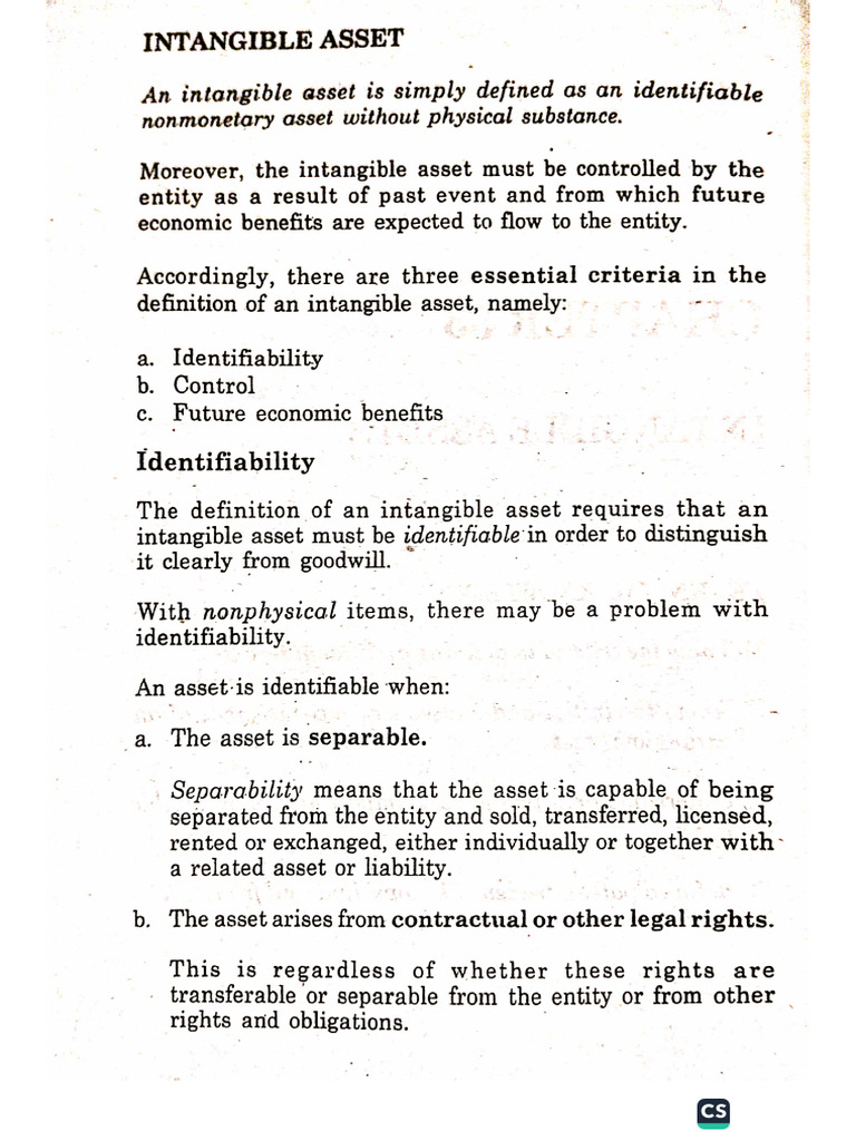 Intangible Asset | PDF