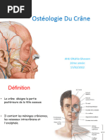 Anatomie et Fractures du Rocher | PDF | Tête et cou chez l'humain ...