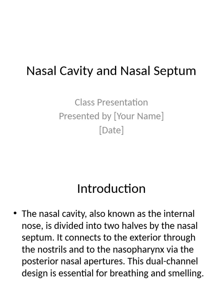 Anatomy of the Nasal Cavity Walls | PDF | Human Nose | Sensory Organs