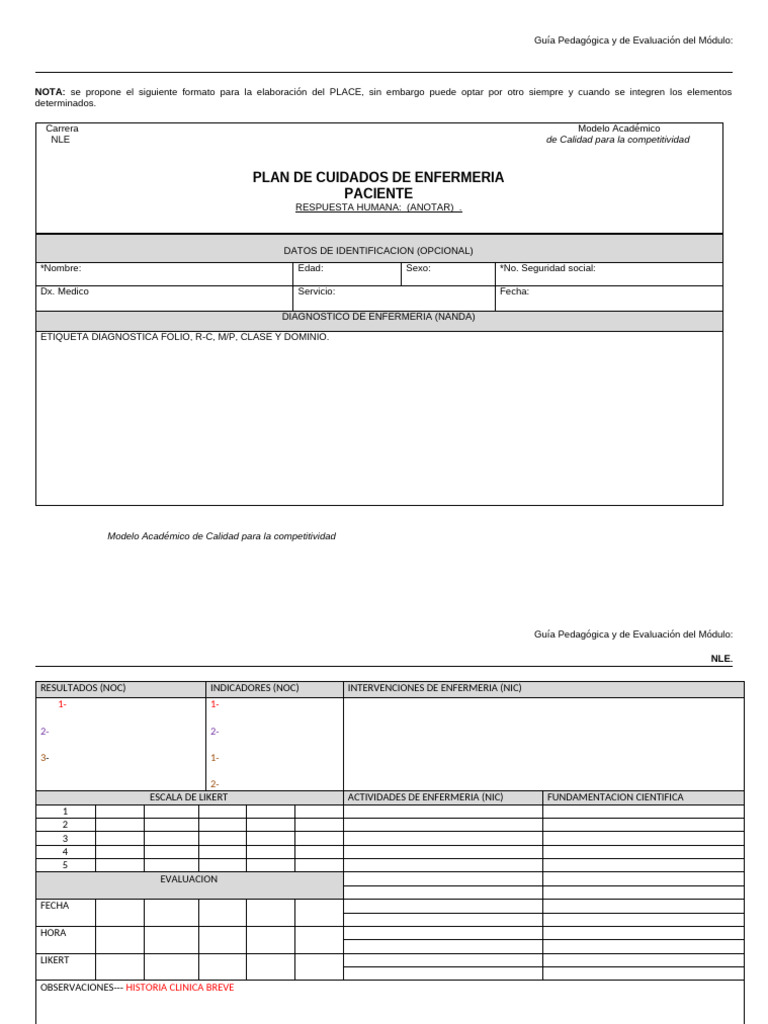 Guía de Evaluación para Planes de Cuidados | PDF | Cuidado de la salud ...