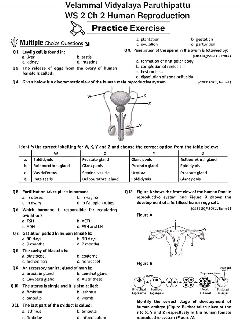 Biology Worksheet 2 Chapter 2 | PDF