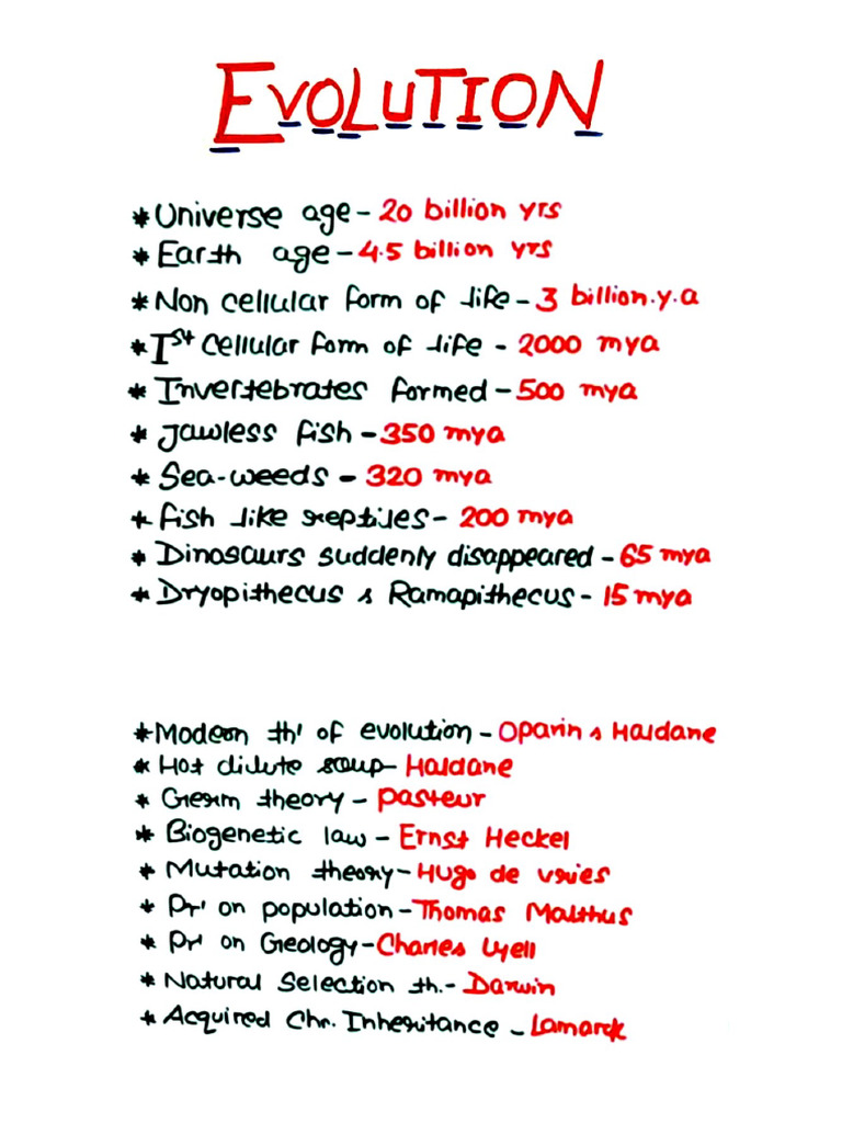 Educational Content Overview | PDF