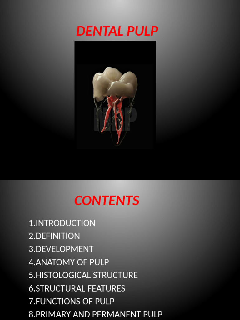 Overview of Dental Pulp Structure | PDF | Dental Anatomy | Tooth