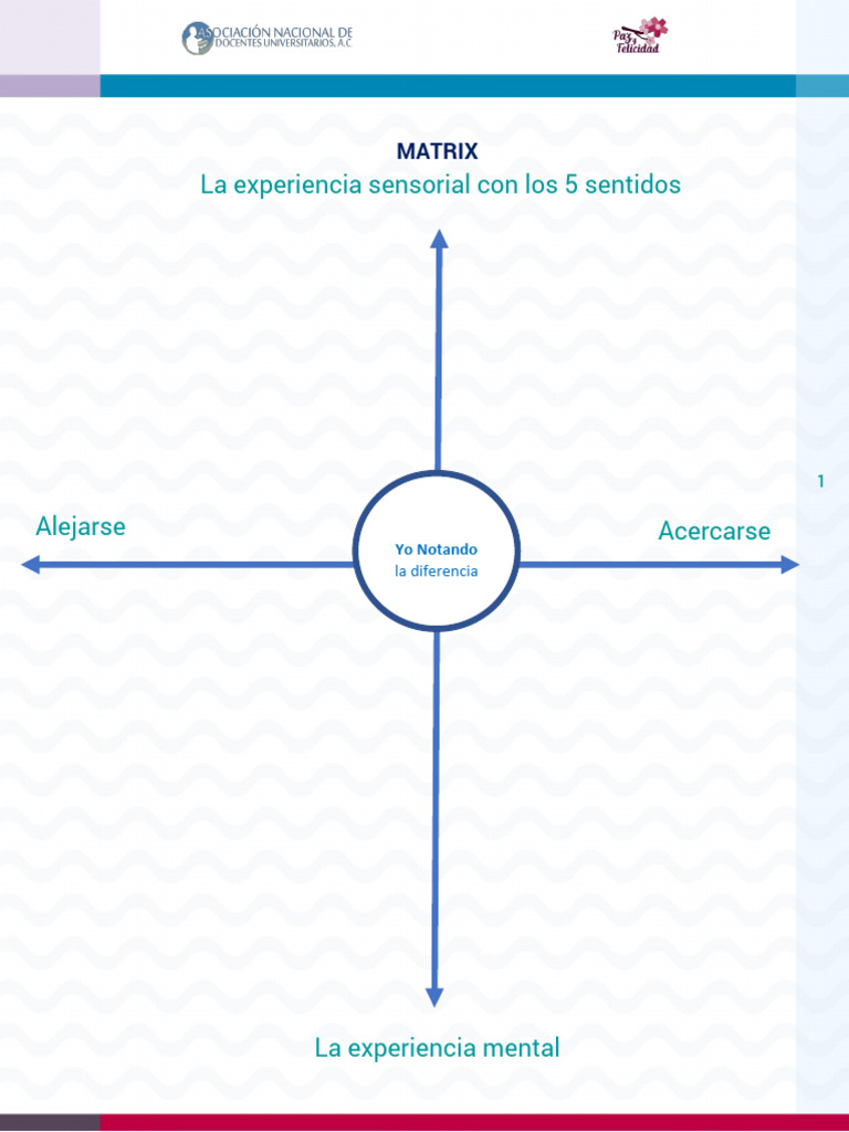 Matrix Guia Aplicacion | PDF | Experiencia | Mente