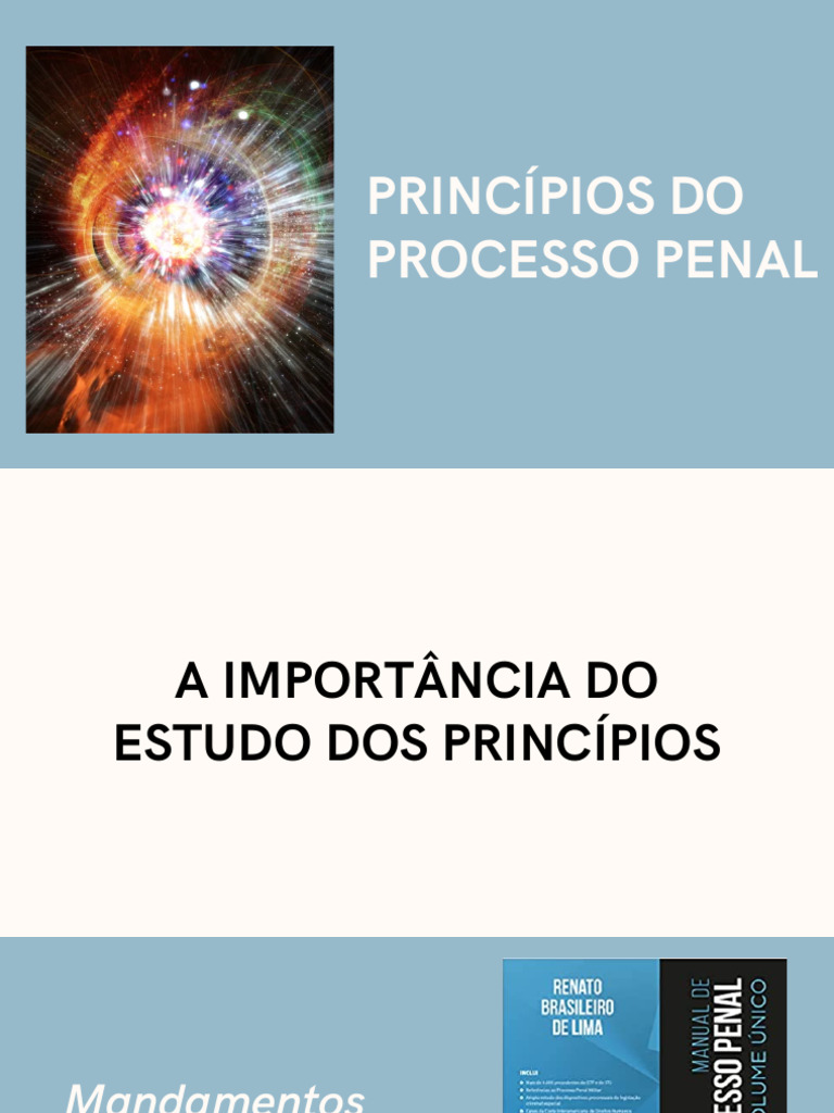 Princípios Fundamentais do Processo Penal | PDF | Presunção de ...