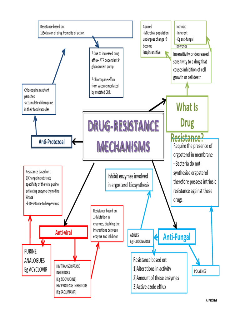 Drug Resistance Mechanisms | PDF | Enzyme Inhibitor | Enzyme