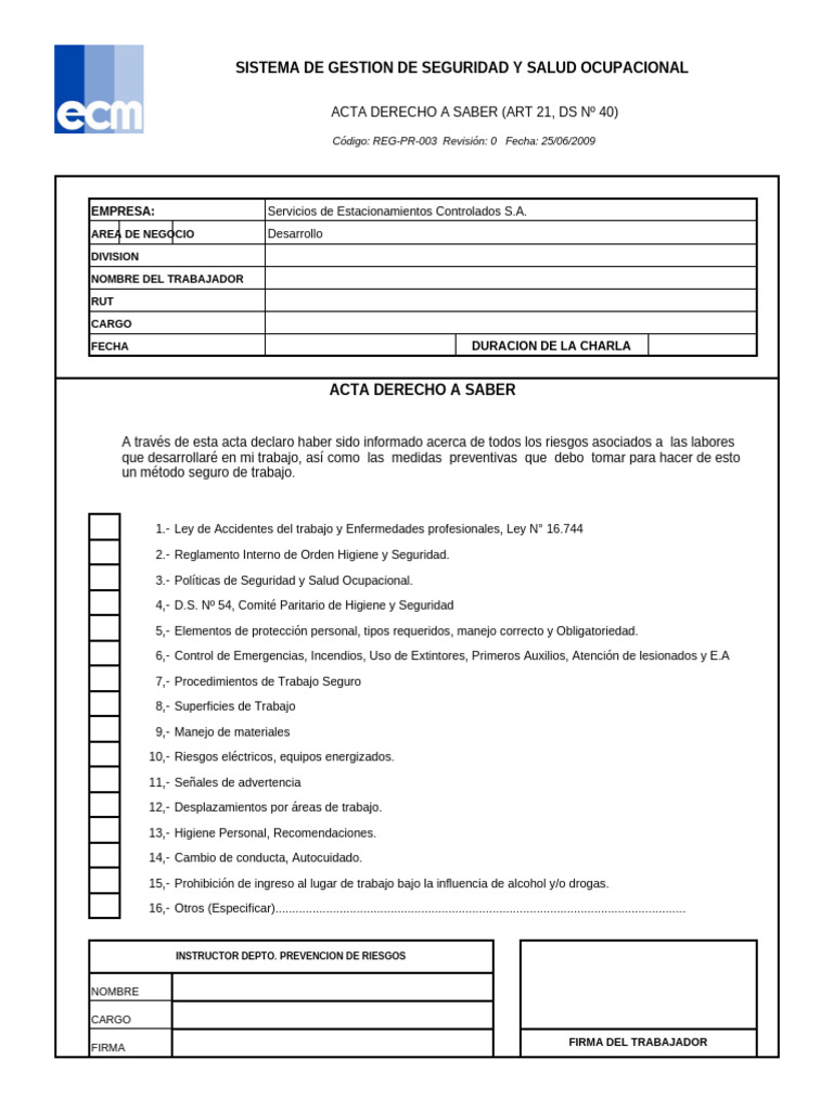 Acta de Seguridad y Salud Ocupacional | PDF | Seguridad y salud ocupacional
