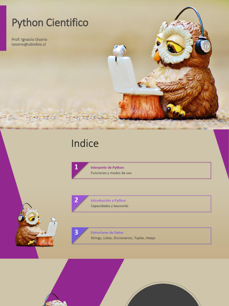 Introducción a Python y su Interprete | PDF | Python (lenguaje de ...