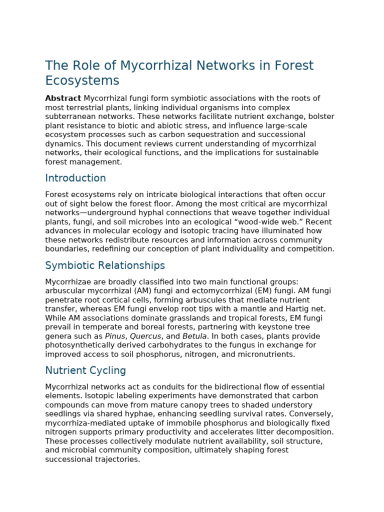 The Role of Mycorrhizal Networks in Forest Ecosystems | PDF | Ecosystem ...