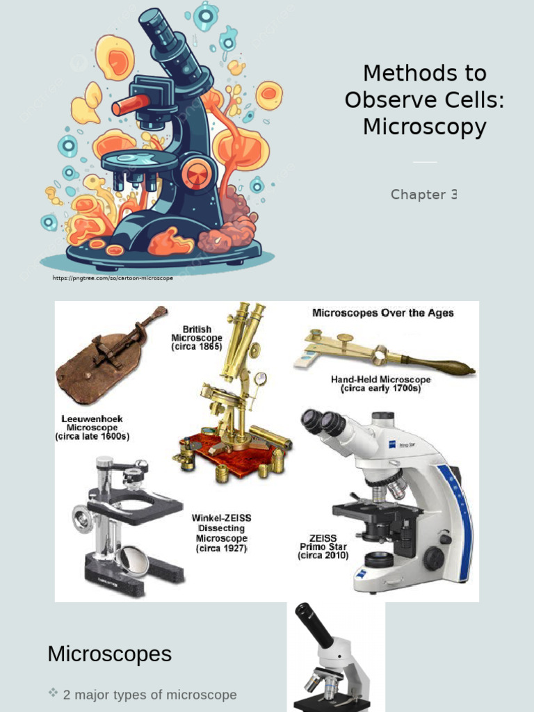 Cell Observation Techniques in Microscopy | PDF | Cell (Biology) | Cell ...