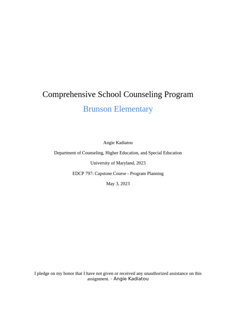 Brunson Elementary Counseling Program Overview | PDF | School Counselor ...
