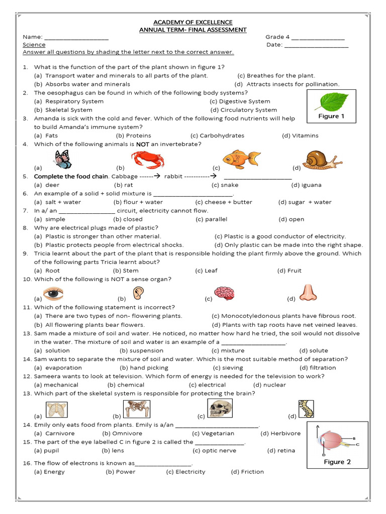 Science Paper 1 and 2 - Annual Final Assessment | PDF | Foods | Leaf