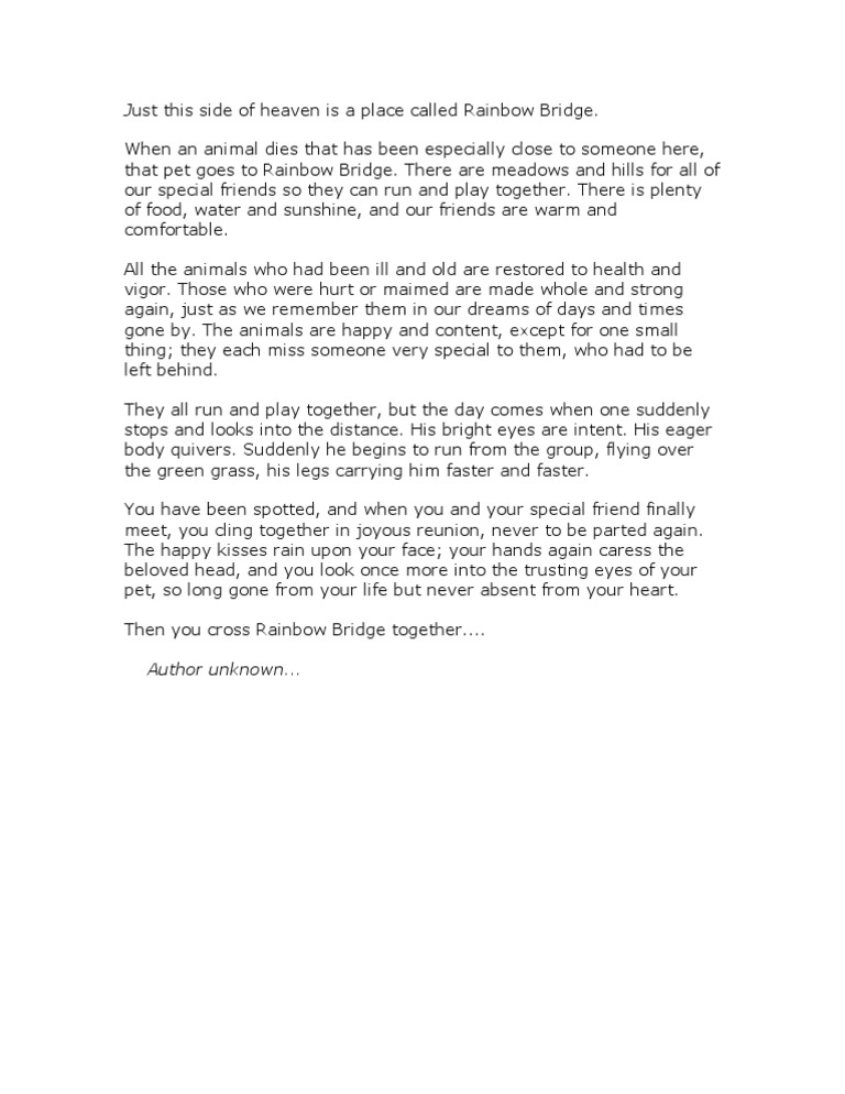 The Heartwarming Tale of Rainbow Bridge | PDF
