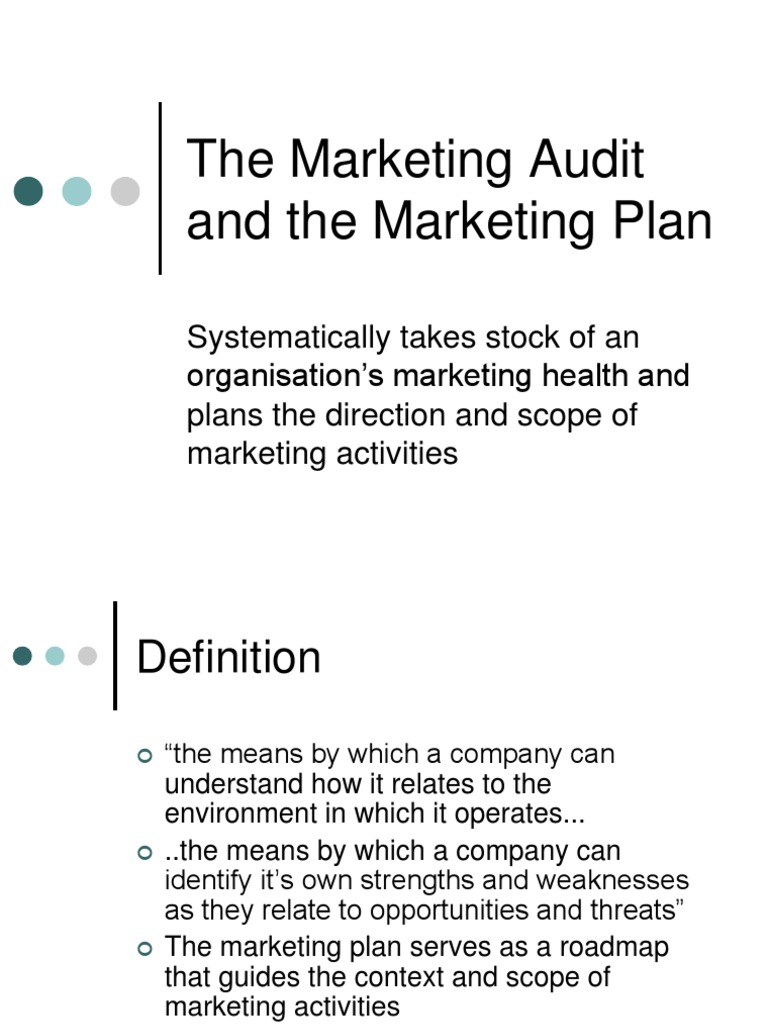 The Marketing Audit Download Ppt3912 | PDF | Market Segmentation ...