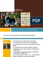 Teoria Cromossómica