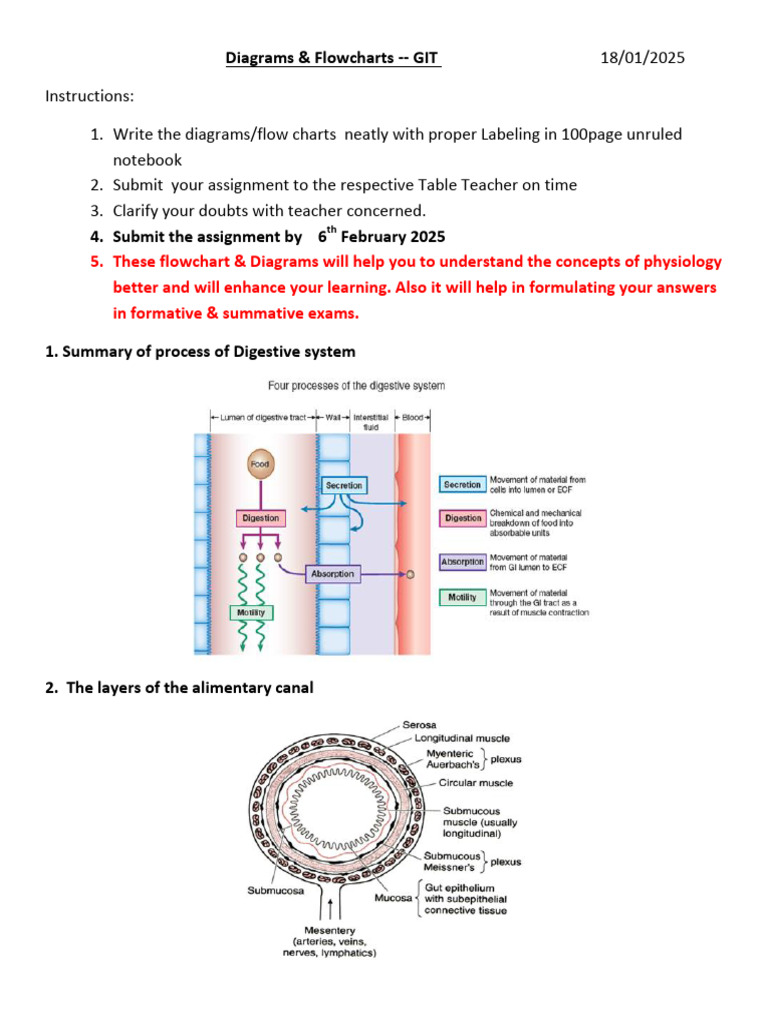 GIT Diagrams and Flowcharts Assignment | PDF