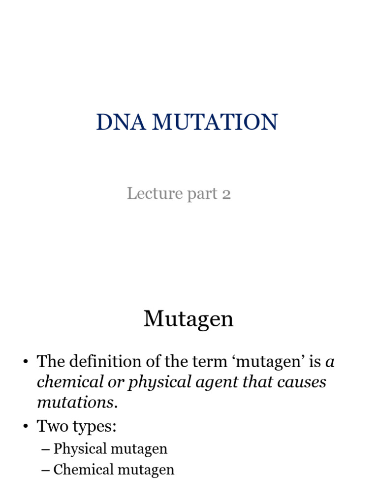 Lecture 15 DNA Mutation Part 2 | PDF | Mutagenesis | Base Pair