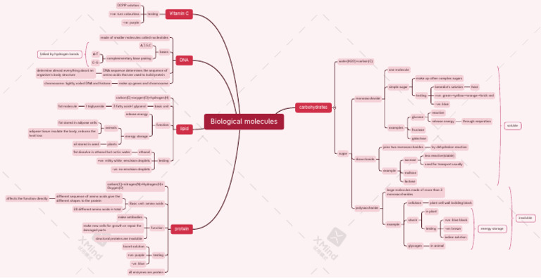 Overview of Biological Molecules | PDF | Carbohydrates | Biomolecules