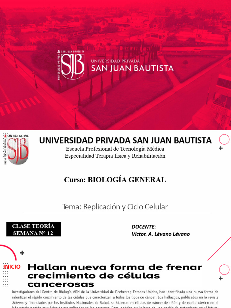 Clase Teórica 12 Ciclo Celular Ok | PDF | Mitosis | Replicación De Adn