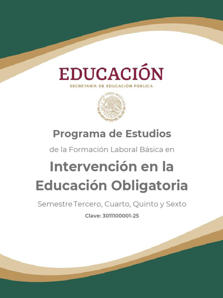 Programa de Intervención Educativa | PDF | Plan de estudios | Aprendizaje