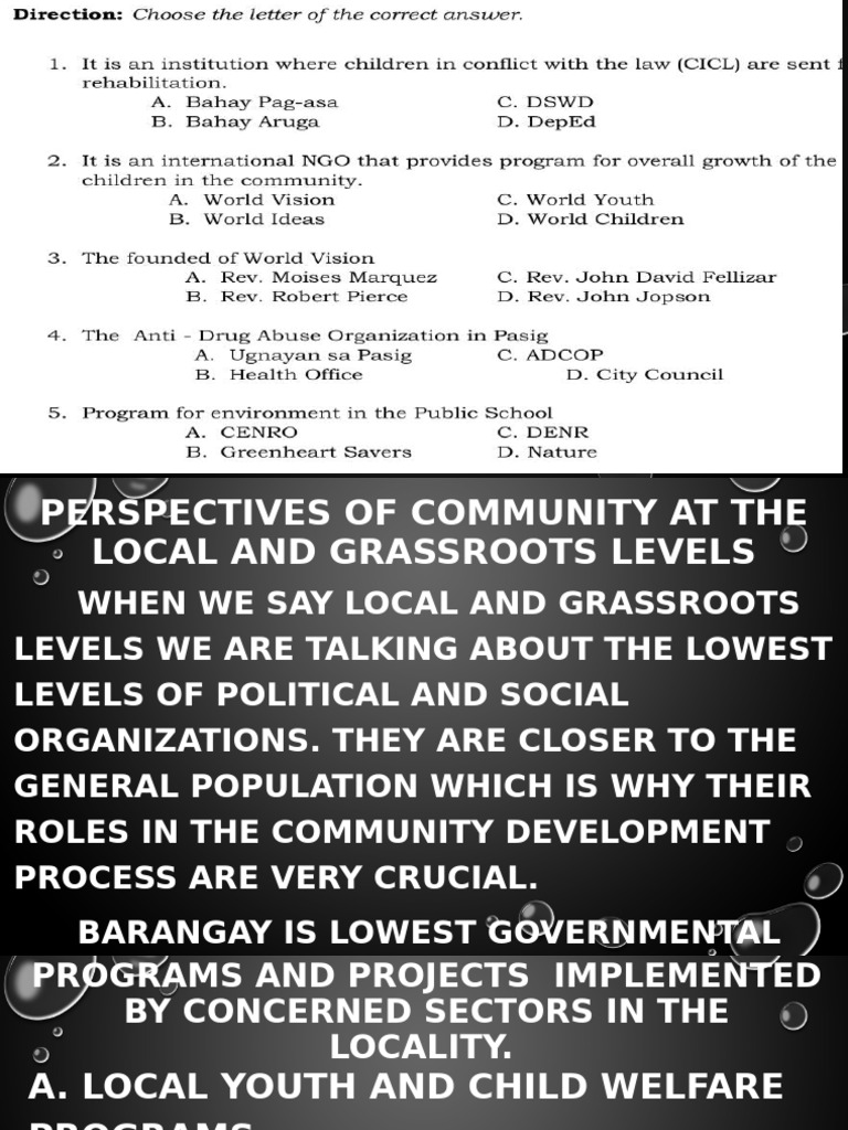 Community Development at Local Levels | PDF