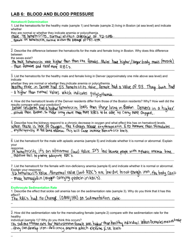 Lab 6 Turn in | PDF