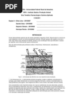 Relatorio Pratica Vias NOVO