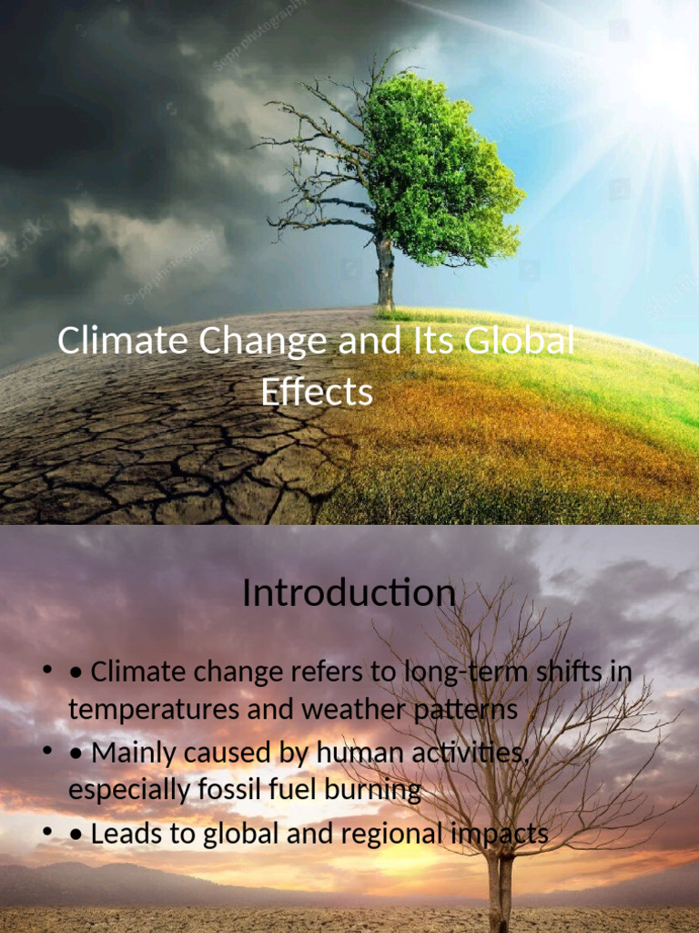 Global Impact of Climate Change | PDF