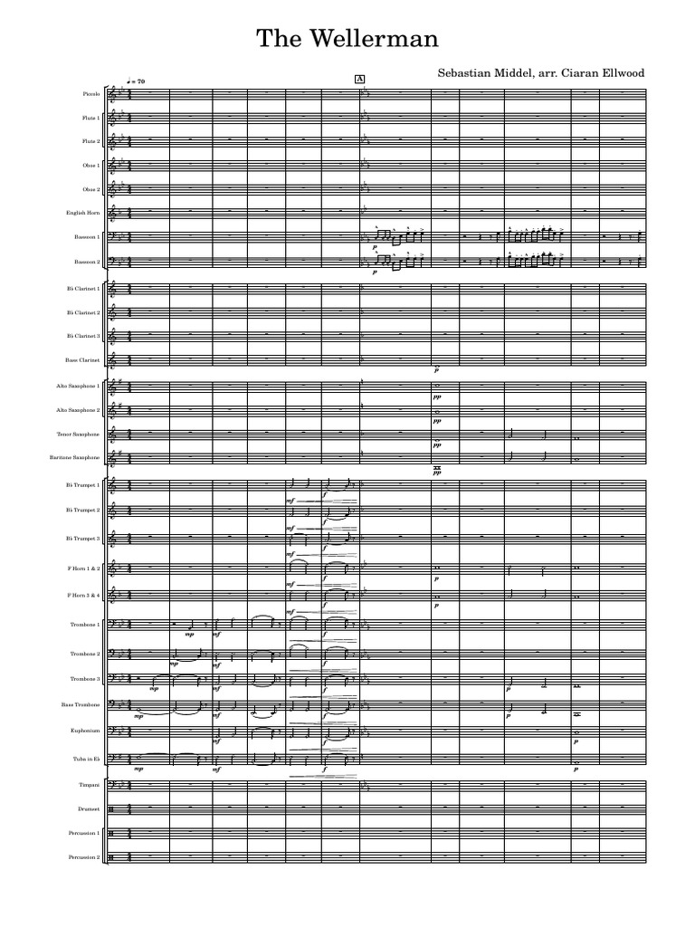 The Wellerman - Score and Parts | PDF