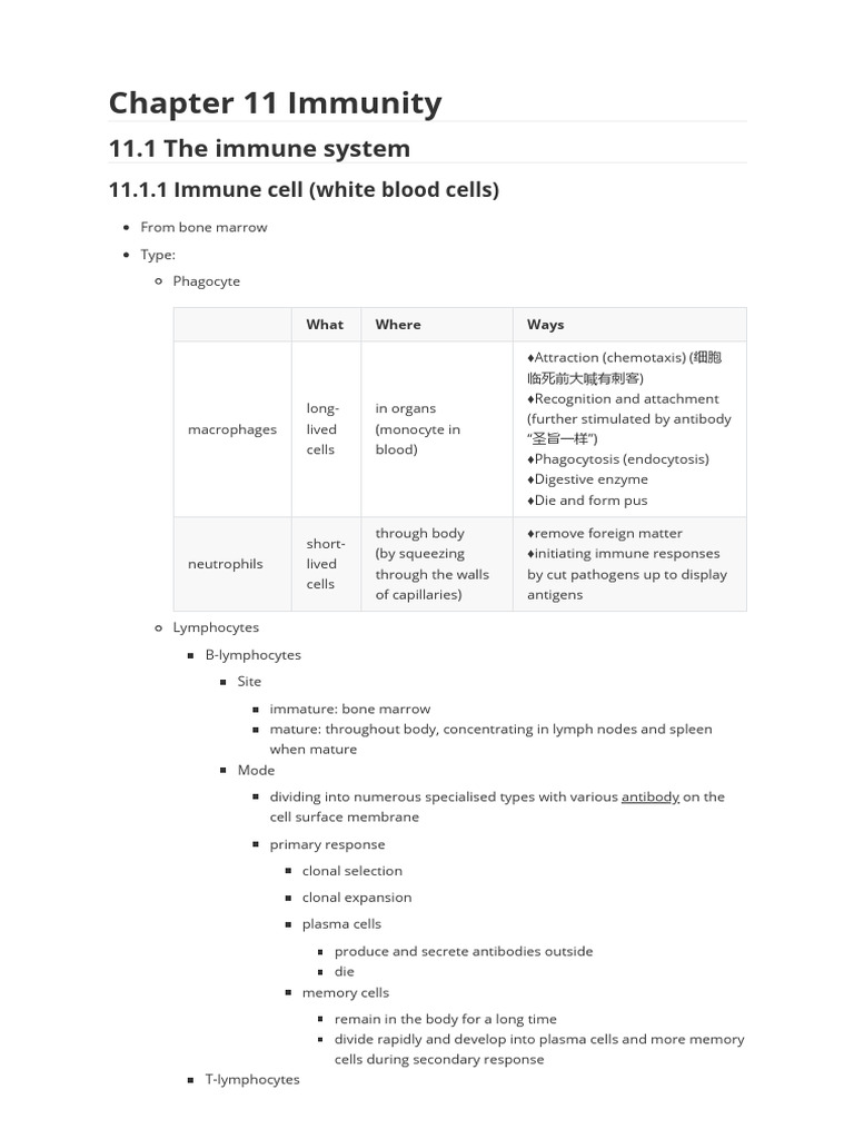 Understanding Immunity and Vaccination | PDF | Immune System | Antibody