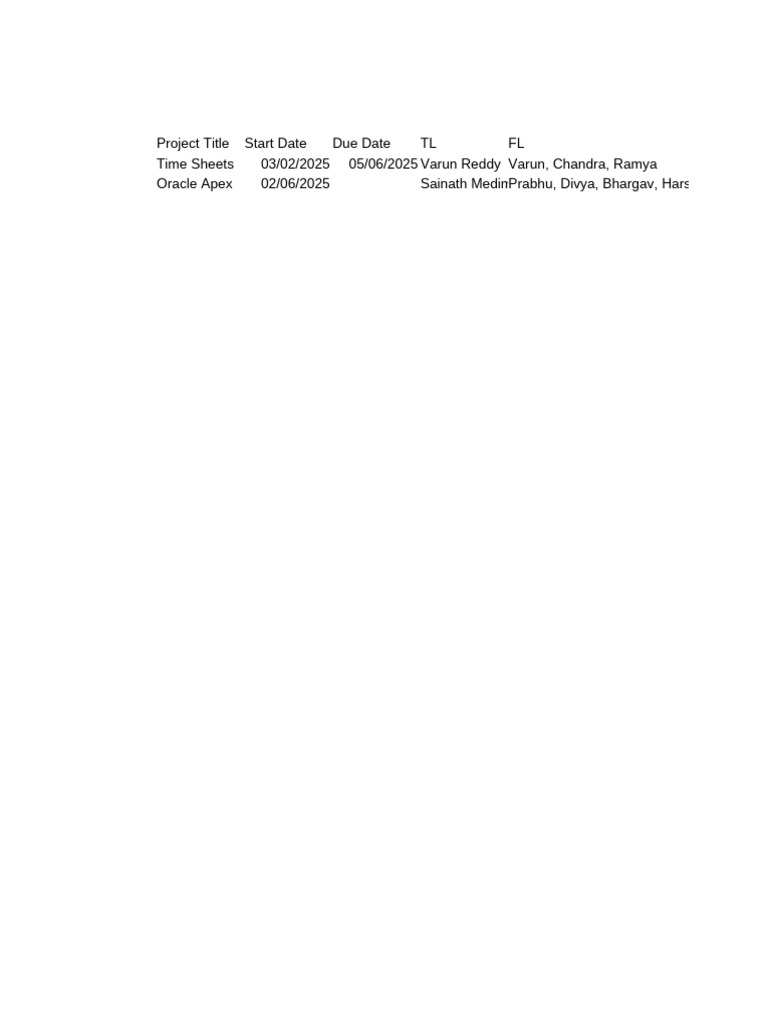 Project Time Sheets and Team Details | PDF
