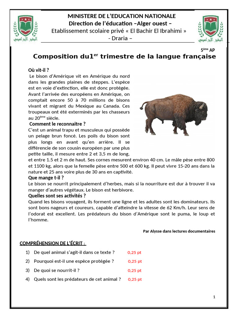 Composition sur le bison d'Amérique | PDF | Bison américain | Gorille