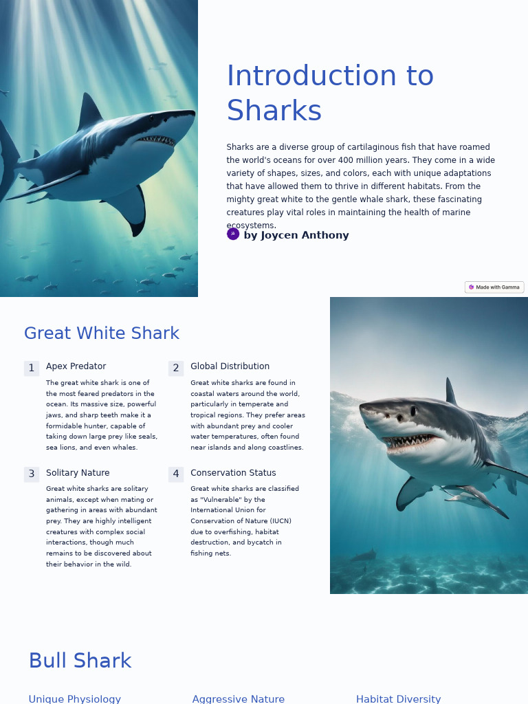 Overview of Shark Species and Conservation | PDF | Sharks | Predation