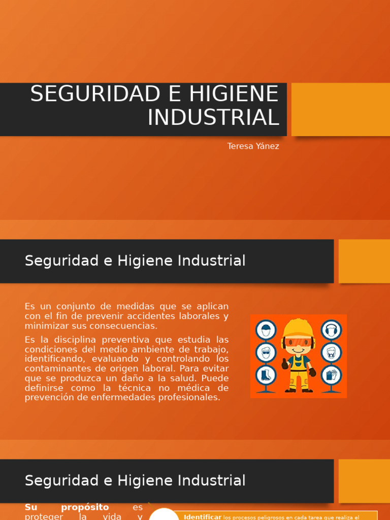 Seguridad e Higiene Industrial | PDF | Seguridad y salud ocupacional ...