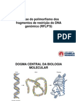 Análise RFLP DNA