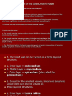 Histology of The Circulatory System