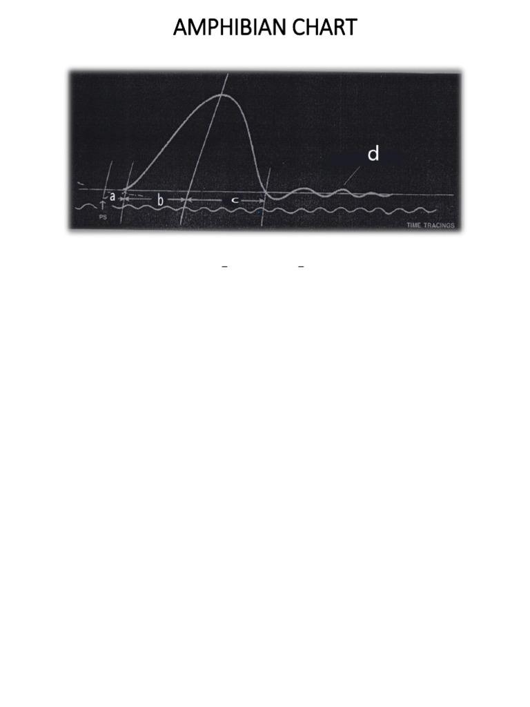 Amphibian Charts With Answers - 1 | PDF | Muscle Contraction | Atrium ...