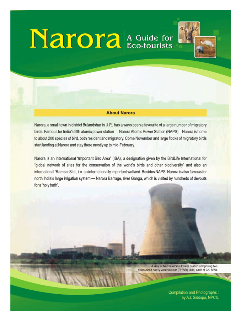 201712250526176161019narora Low | PDF