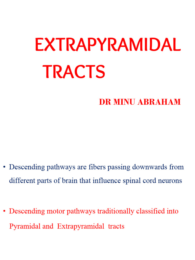 Extrapyramidal Tracts Overview | PDF | Spinal Cord | Neuroanatomy
