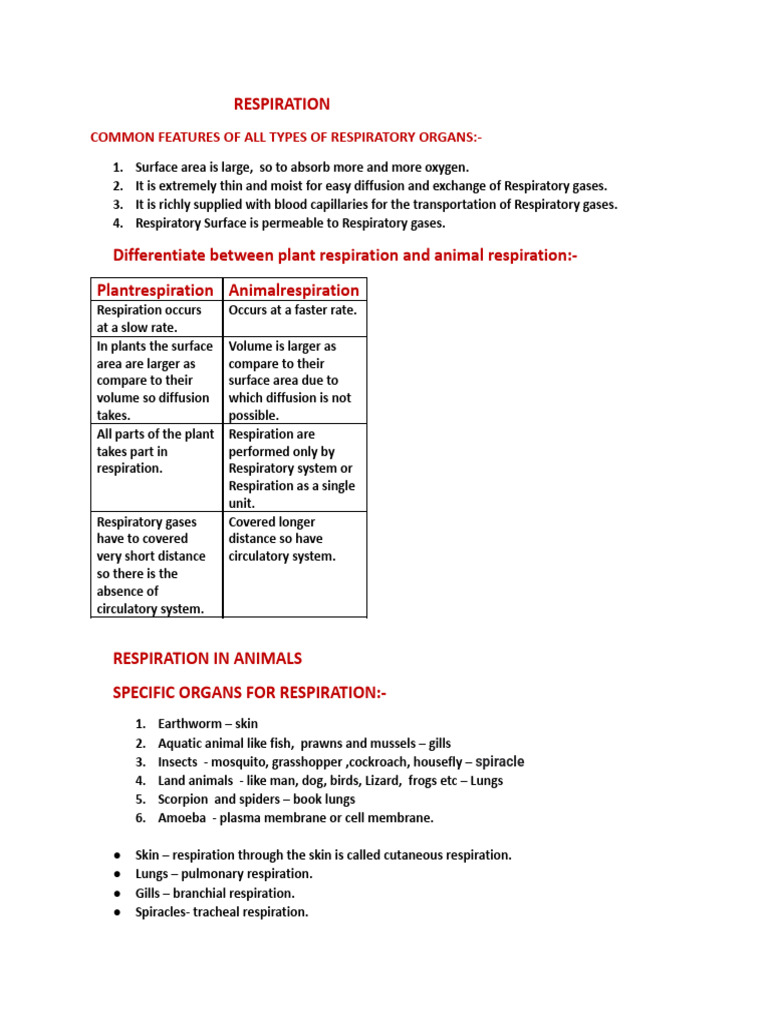 Notes On Respiration.a | PDF