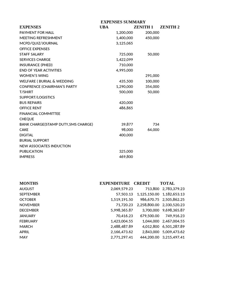 Monthly Expenses Summary Report | PDF