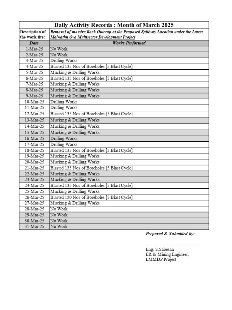 March 2025 Daily Activity Log: LMMDP | PDF