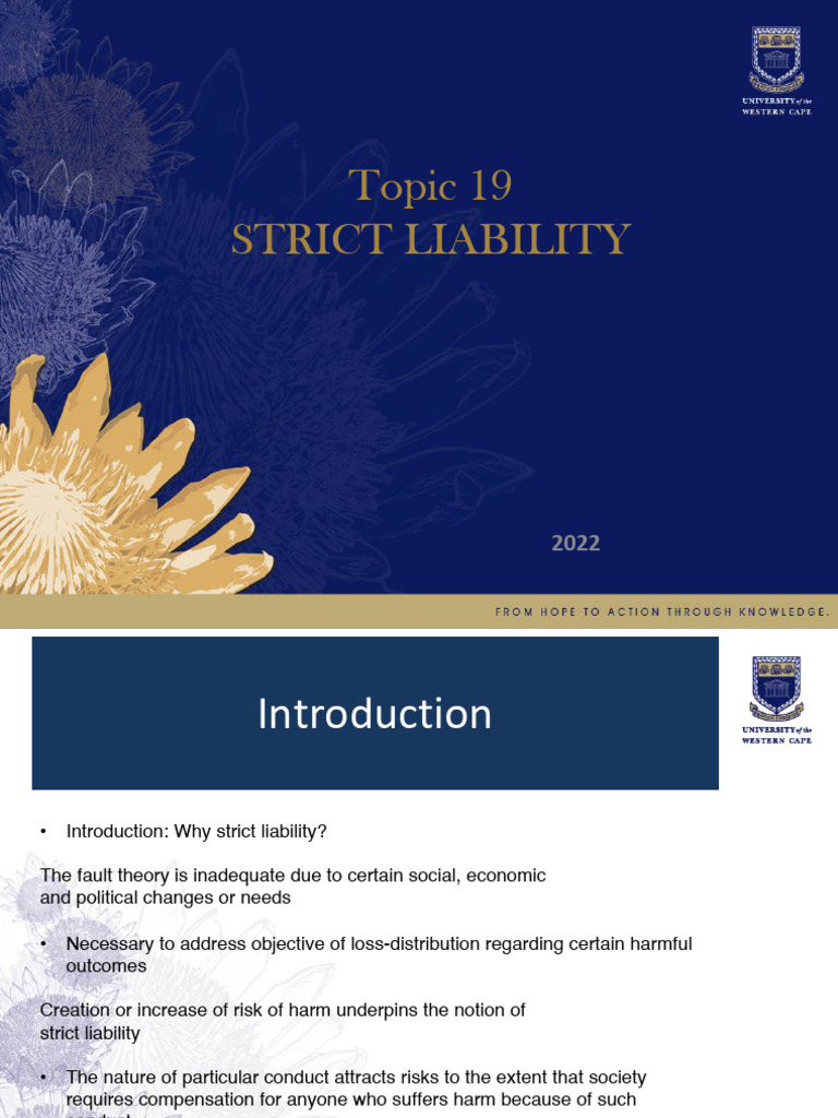 Topic 19 Auto-Saved Auto-Saved | PDF | Legal Liability | Strict Liability